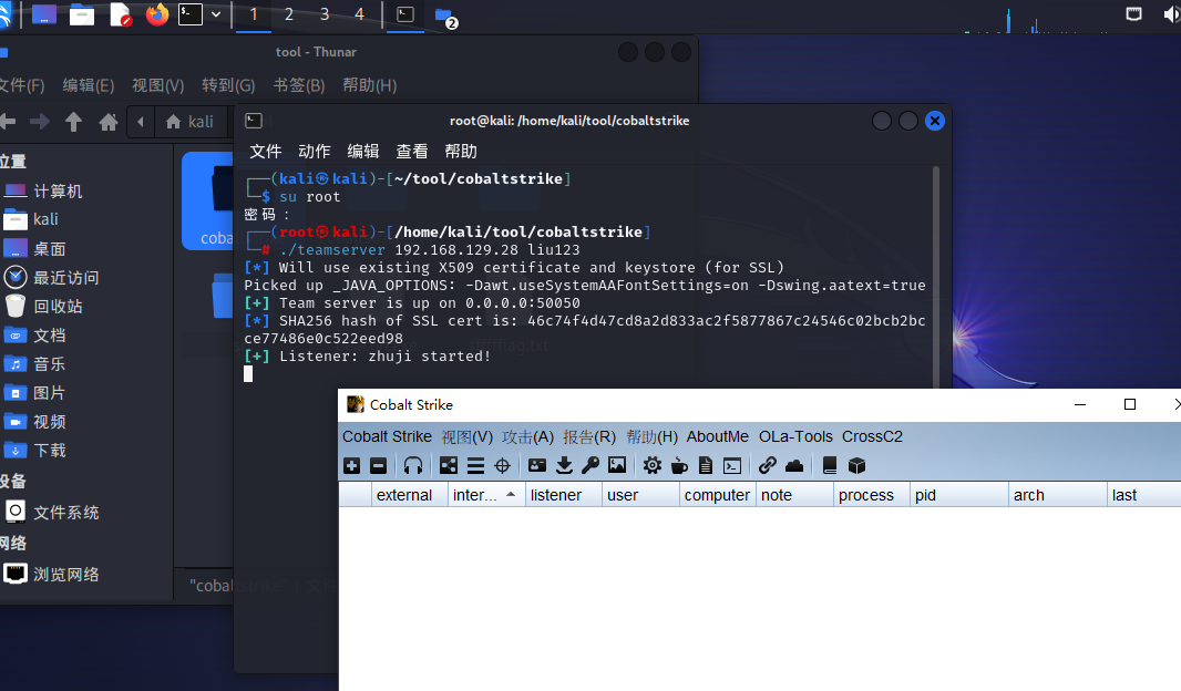 image-20240330030233128