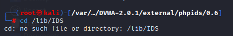 kali搭建DVWA踩的坑