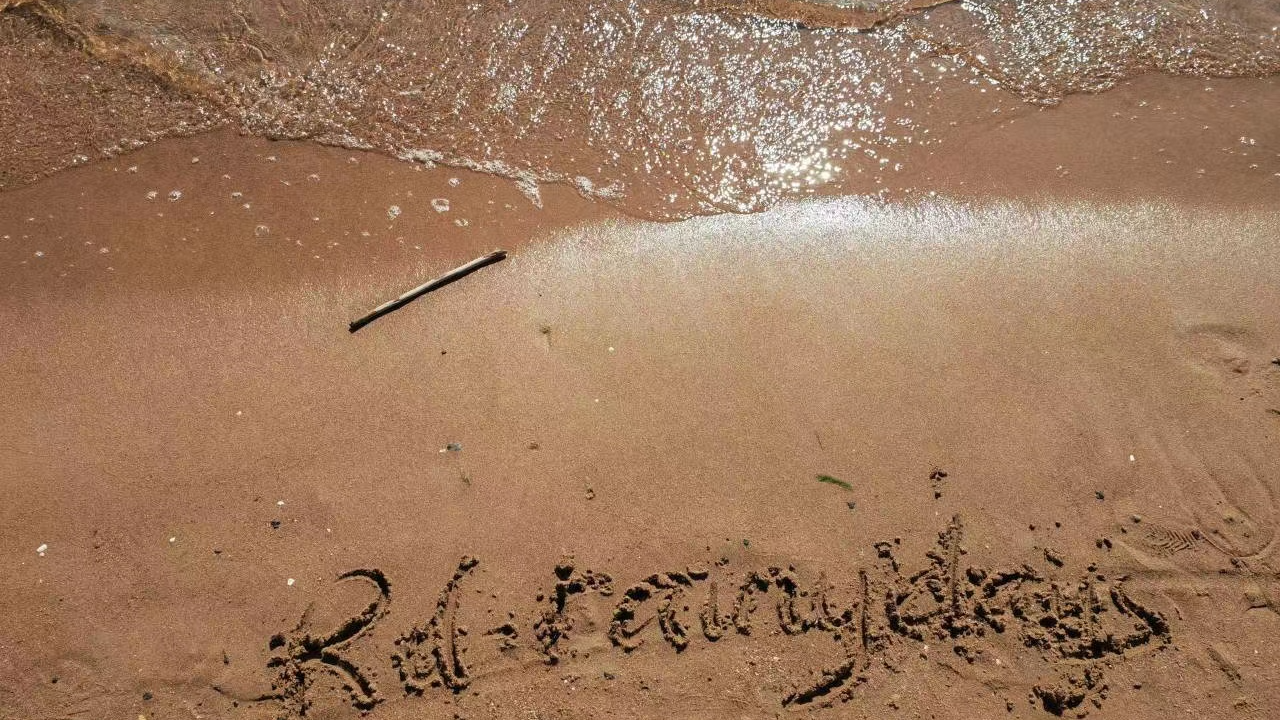 CCPC 2023 秦皇岛站：首次出征