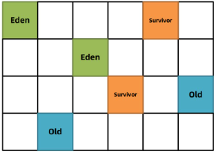 image-20240123202513986