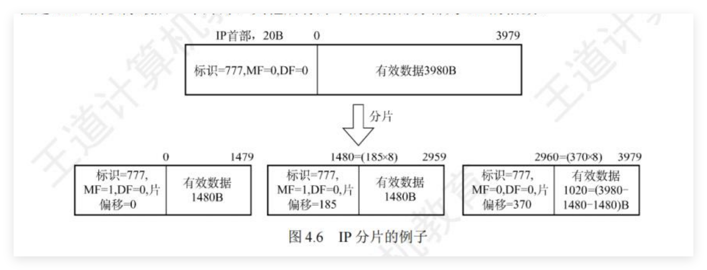 IP数据报