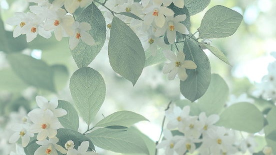 基于亚博k210+arduino 智能垃圾桶(23工训赛)