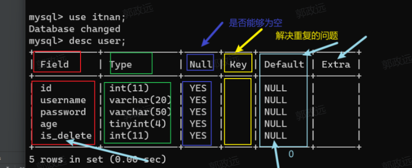 5-MySQL列定义