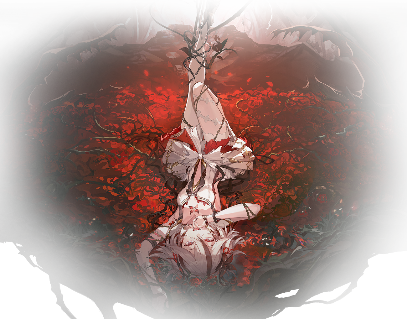 DM_20241113155624_001