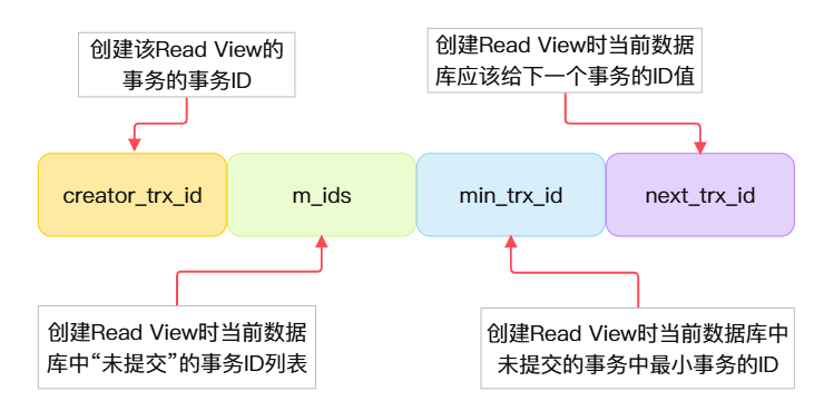 Read View组成结构
