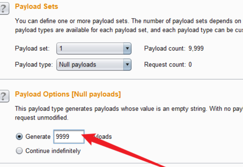 image-20240603202952950