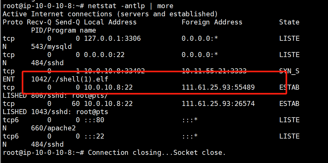 image-20250323223344527