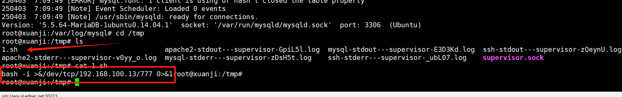 image-20250403151407795