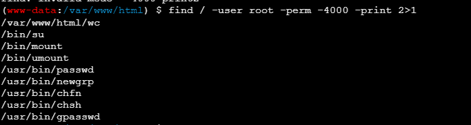 image-20241016221806523