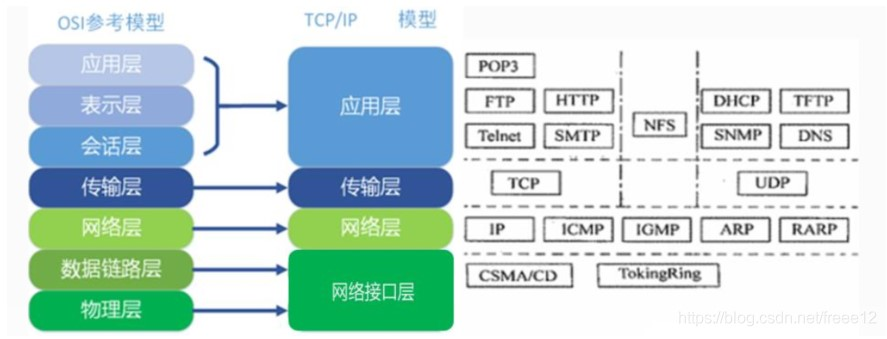 网络模型