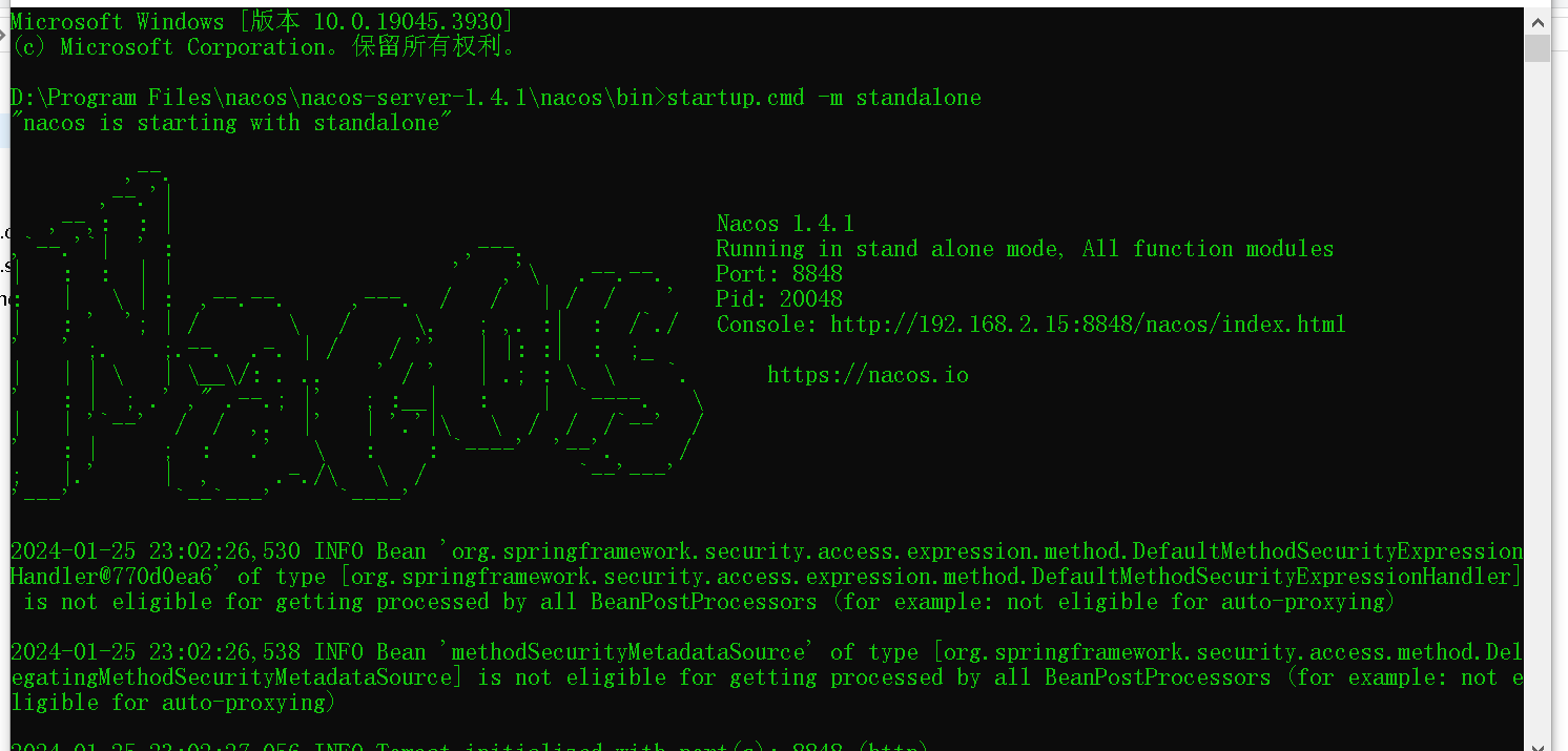 image-20240125230349938