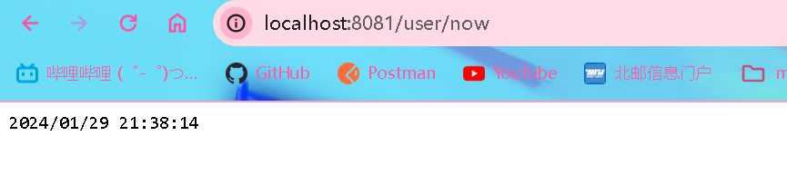 image-20240129213828770