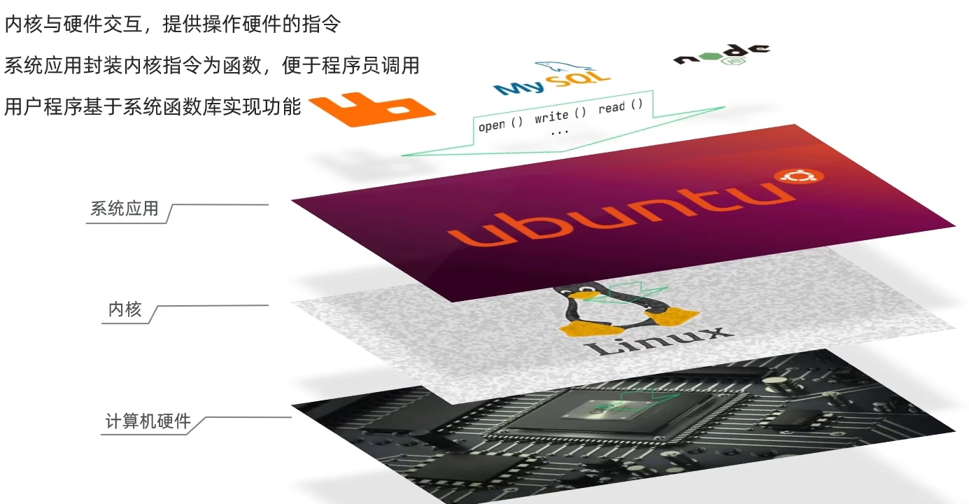 image-20240203225615596