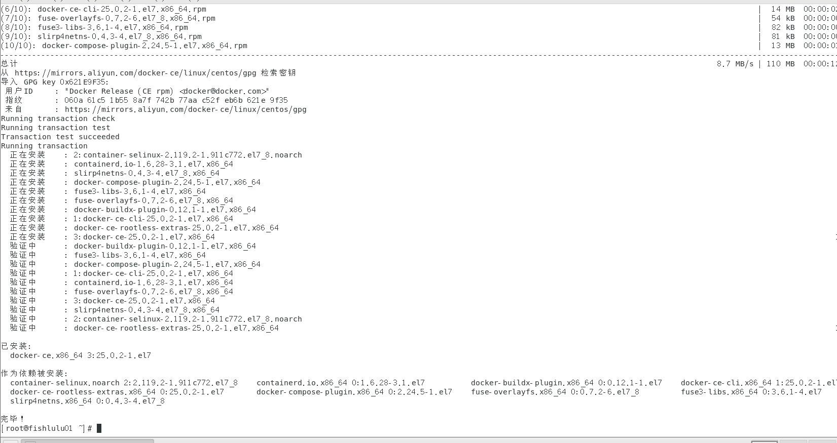 image-20240205205218800