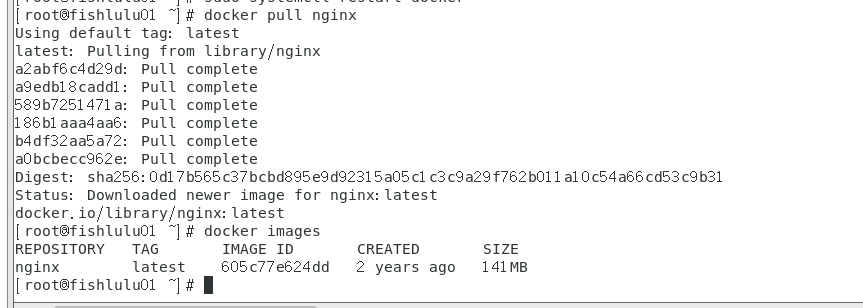 image-20240205212027705