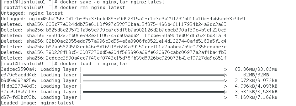 image-20240205213721220