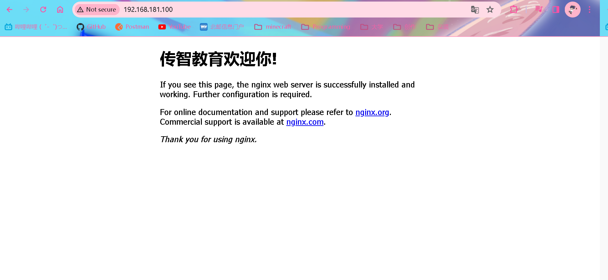 image-20240205230448828