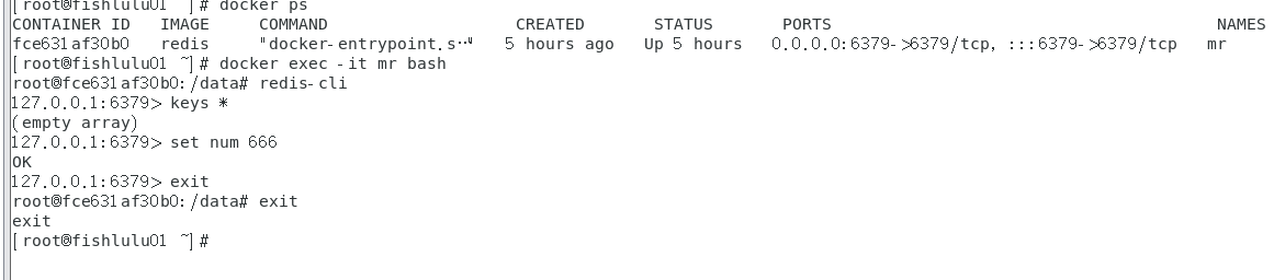 image-20240208212510119