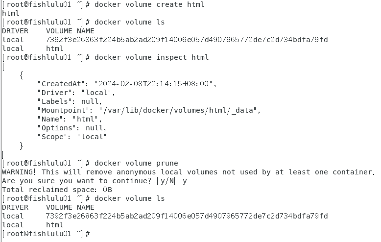 image-20240208221729202