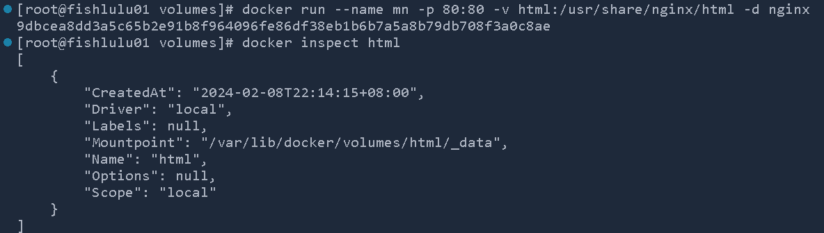 image-20240208224822747