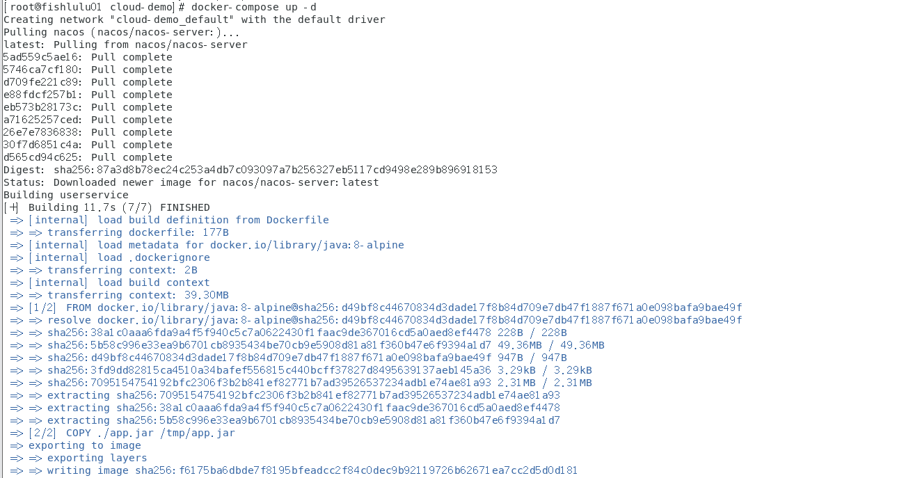 image-20240218223815339