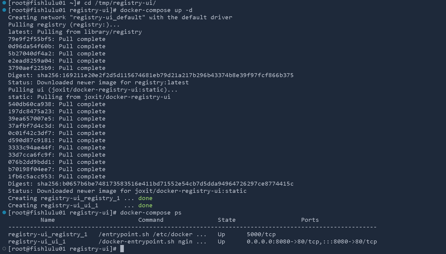 image-20240219144305685