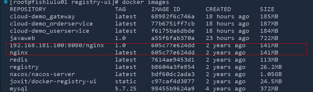 image-20240219160926735