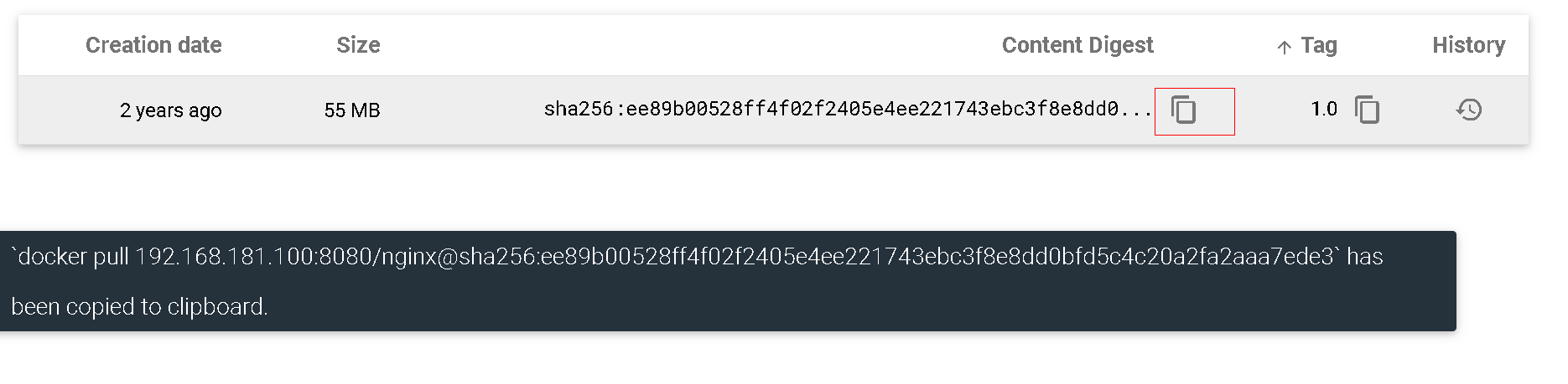 image-20240219161244769