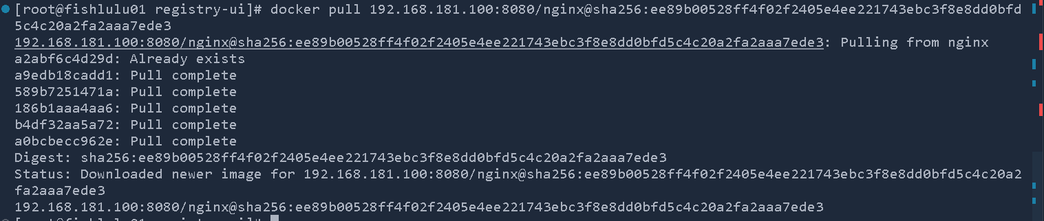 image-20240219163442591