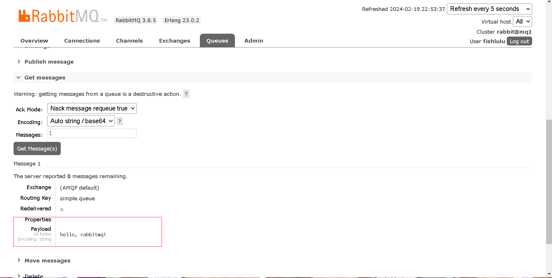 image-20240219225359595