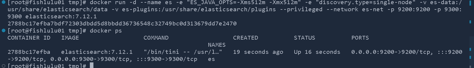 image-20240221213302293