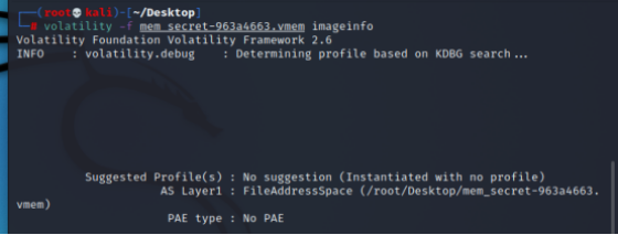 image-20240814165336851