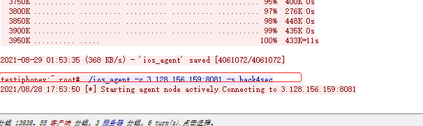 image-20240814163704993