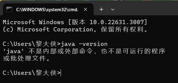 image-20240203174459022