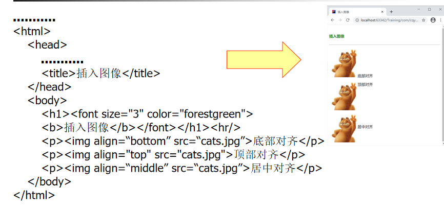 image-20240409104616381