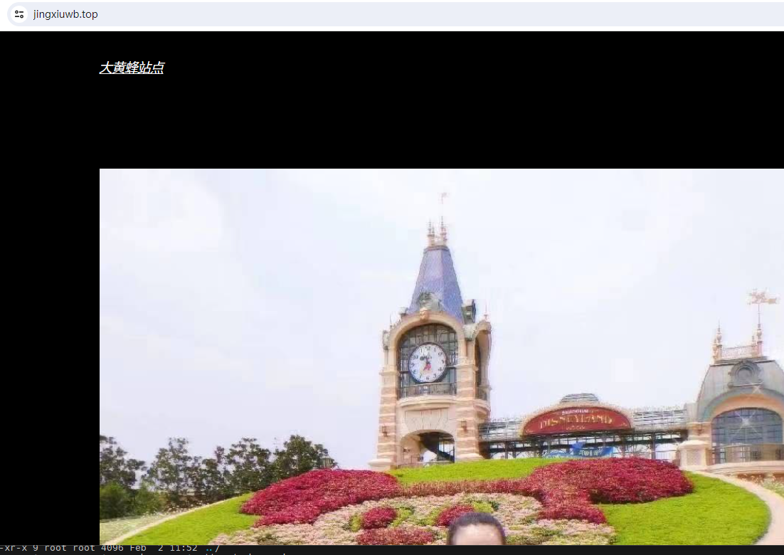 image-20240202115647333