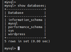 image-20240202160340135