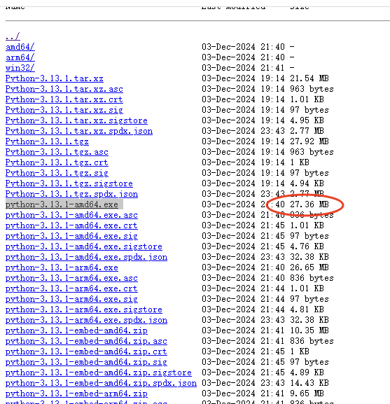 image-20250109093247215