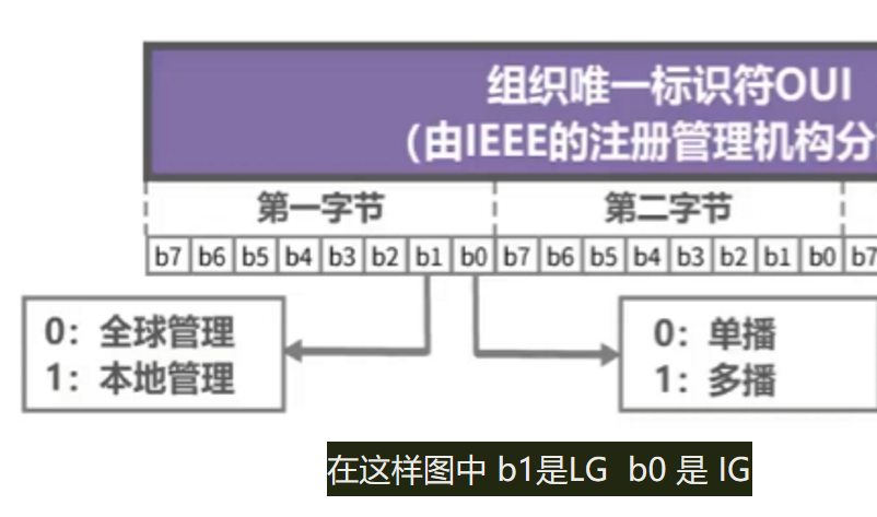 image-20250216145231325