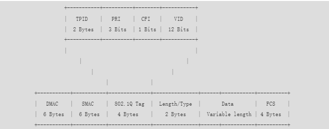 image-20250311030705525