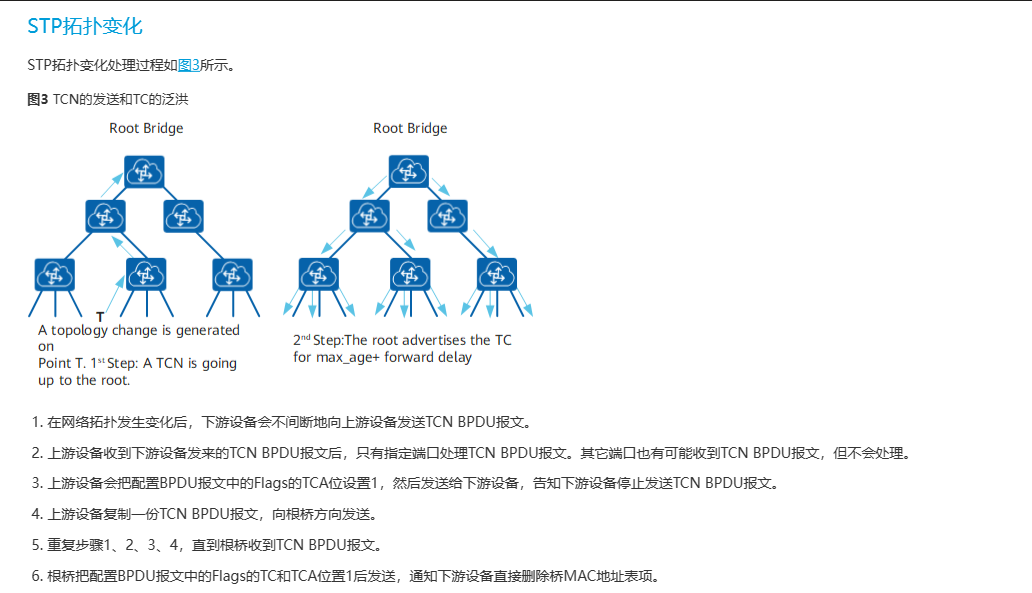 image-20250304022132399