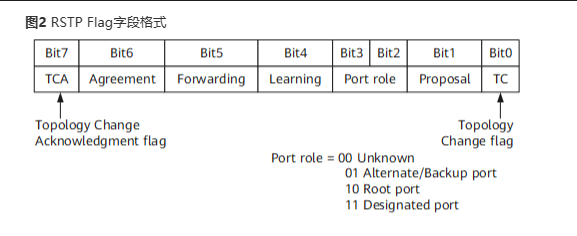 image-20250304050249936