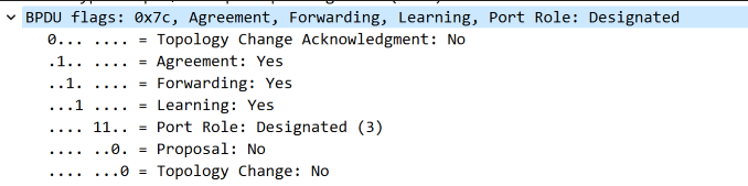 image-20250304064217910