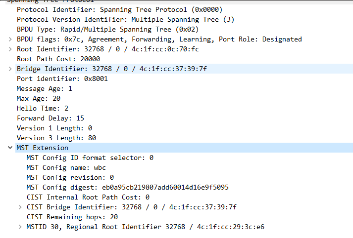 image-20250306022949441