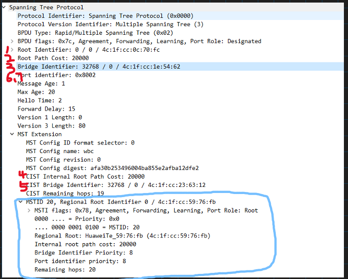 image-20250306034458372