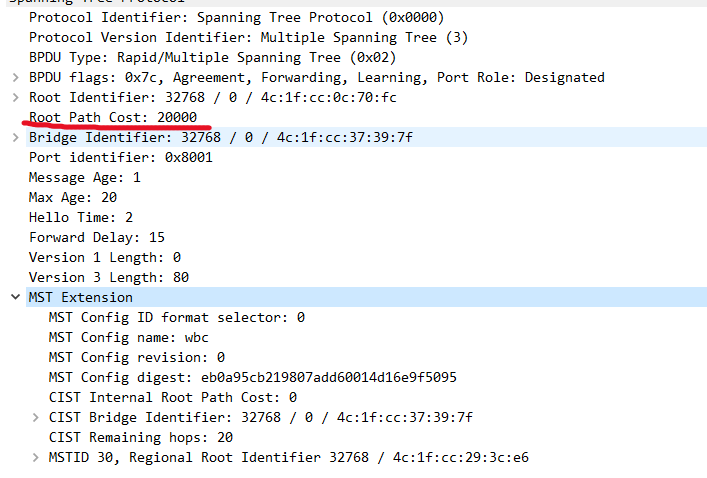 image-20250306033041823