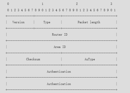 image-20250312032330043