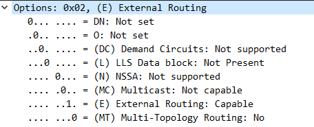 image-20250312032914324