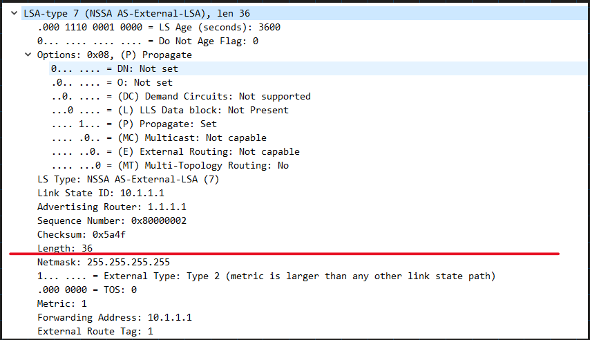 image-20250313004142811